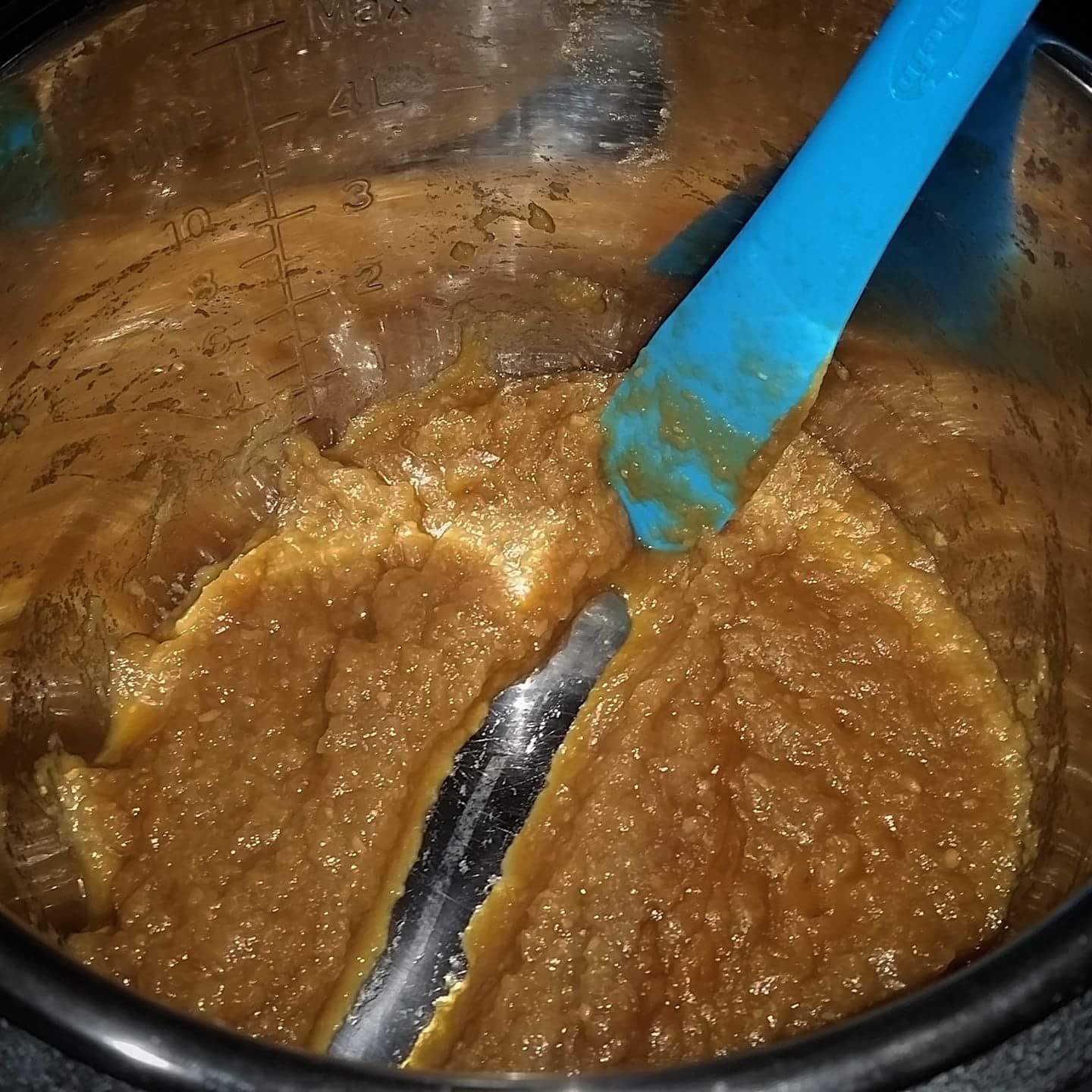 Pressure Cooker Caramelized Onion/Garlic paste The Fresh Loaf